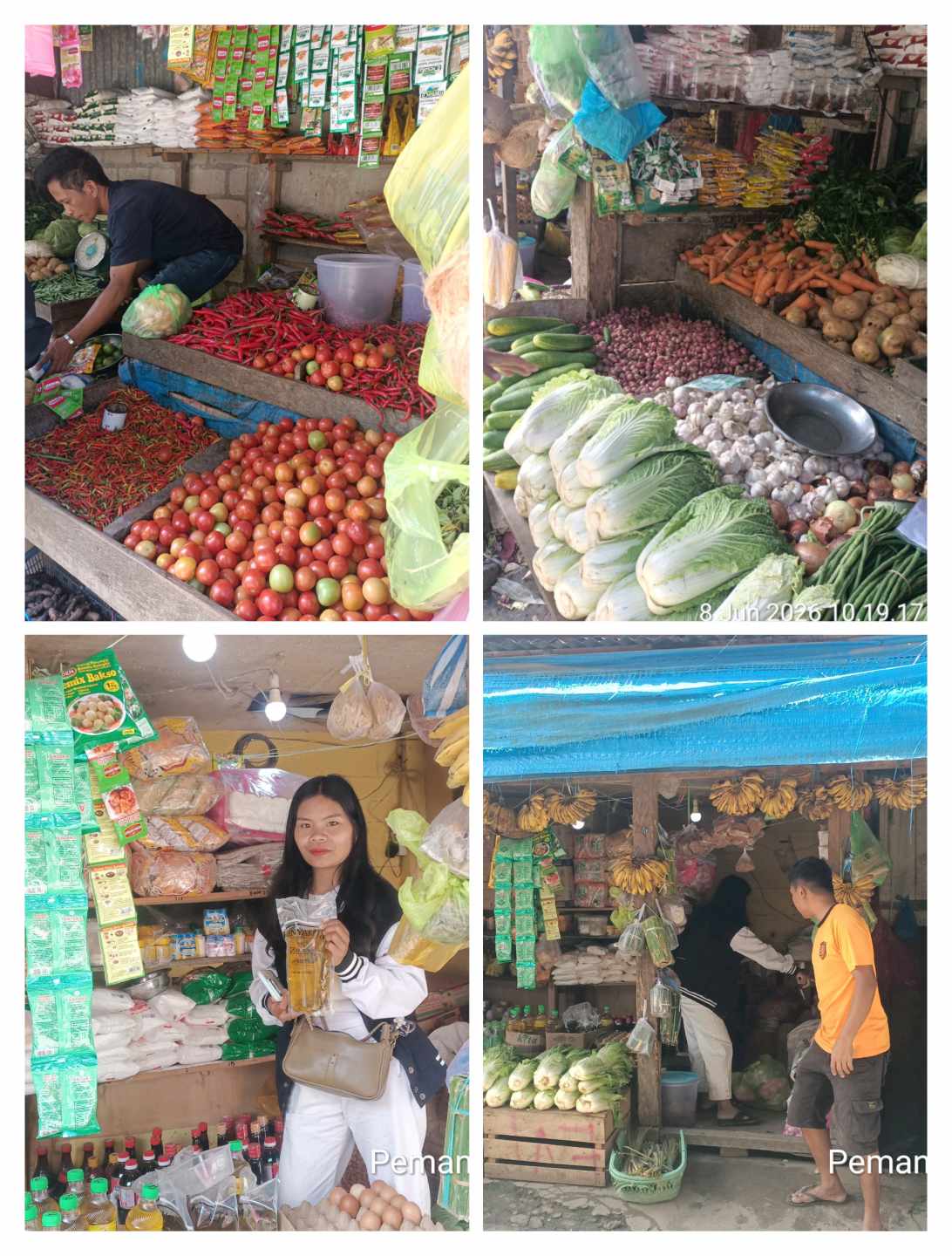 PEMANTAUAN HARGA PANGAN 